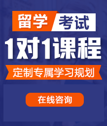 宝宝我要射逼里面小说留学考试一对一精品课